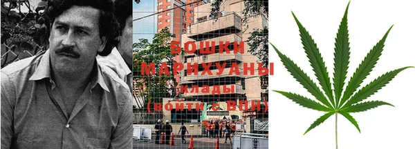 дживик Мегион