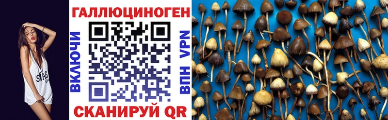 Галлюциногенные грибы ЛСД  магазин продажи   Ижевск 
