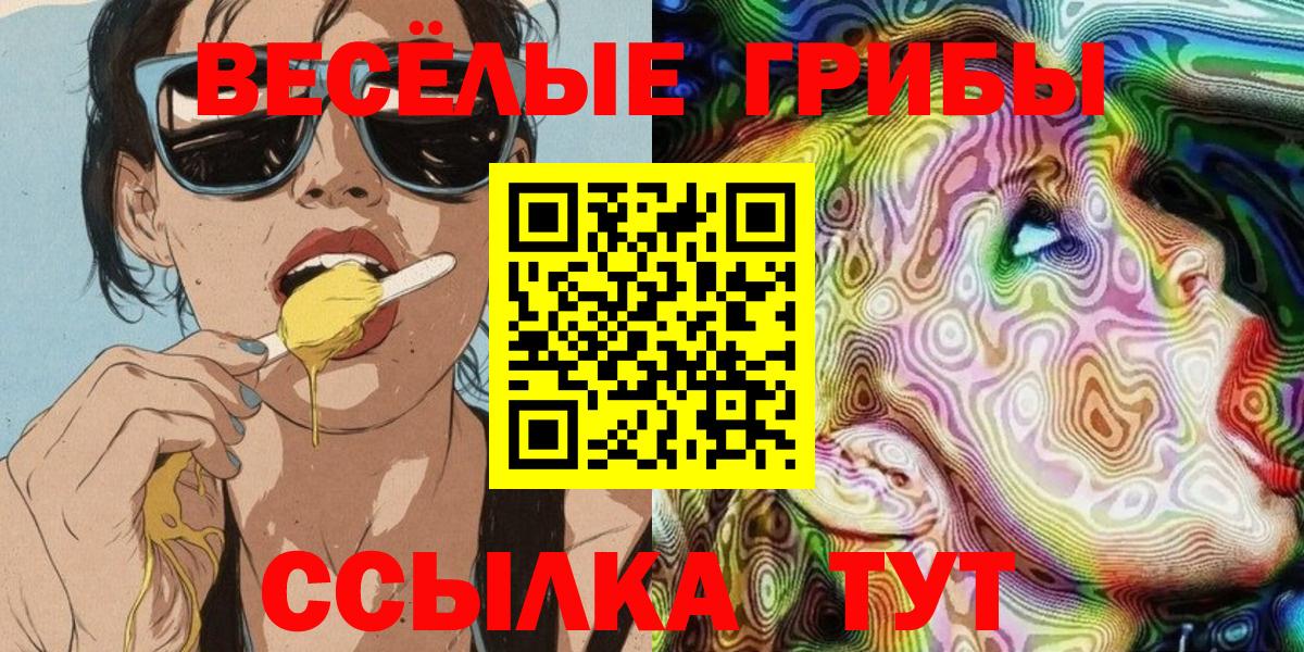 Галлюциногенные грибы Psilocybe Ижевск