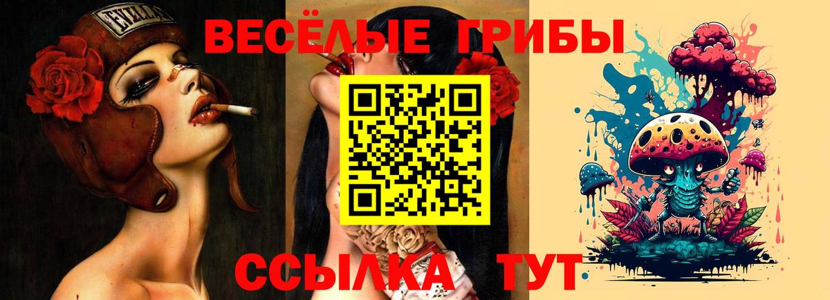 Псилоцибиновые грибы Psilocybine cubensis  Вход с VPN  Галлюциногенные грибы Magic Shrooms  Ижевск 