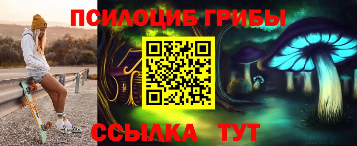 Галлюциногенные грибы Magic Shrooms  Ижевск  Псилоцибиновые грибы Psilocybe 